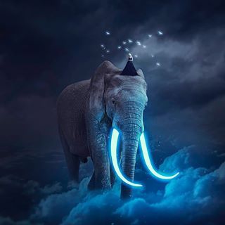 Photoshop | DailyDoseOfVisuals (@dailydoseofvisuals) • Instagram photos and videos Photo Manipulate, Photoshop Surrealism, Surreal Photoshop, Elephant Photo, Elephants Photos, Cool Photoshop, Photoshop Tutorial Photo Editing, Photoshop Artwork, Photoshop Design Ideas