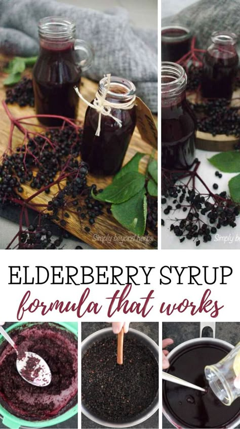 Elderberry Medicine Recipe, How To Make Elderberry Tincture, How To Make Homemade Elderberry Syrup, Elderberry Syrup With Fresh Elderberries, Elderberry Syrup Canning Recipe, Elderberry Recipes Syrup, Elderberry Syrup Recipe With Apple Cider Vinegar, Elderberry Syrup Recipe Shelf Stable, Elderberry Astragalus Syrup