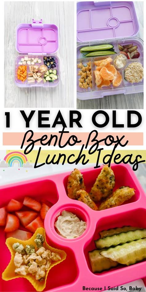 1 year old lunch ideas Lunch Ideas For Daycare One Year Old, One Year Old School Lunch Ideas, Infant Daycare Lunch Ideas, Baby Lunches For Daycare, No Heat Daycare Lunches, Bento Box Toddler Lunch Ideas, Lunch Ideas For 1 Year Daycare, 12 Month Old Lunch Ideas For Daycare, Lunch For 1 Year