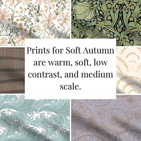 SOFT AUTUMN 🍁🌞 Fun facts: 🍁Soft autumn is a neutral season leaning warm 🍁One of the more common seasons at 9% of the North American population 🍁The lowest contrast warm season 🍁A personal favorite to diagnose 😬 Want to learn more about Soft Autumn (or any season)? Comment “EXPLORE” to get the link. #coloranalysis #coloranalyst #coloranalysisautumn #softautumn #softautumnpalette #softautumncolors #softseason #colouranalysis #colouranalysisworks #colouranalysisonline #seasonalcoloranalysis Soft Autumn Pantone, Soft Autumn Korean, Soft Autumn Examples, Soft Autumn Color Season, Soft Autumn Clothes, Soft Autumn Aesthetic, Soft Autumn Palette, Relaxed Fashion, Soft Autumn Color Palette