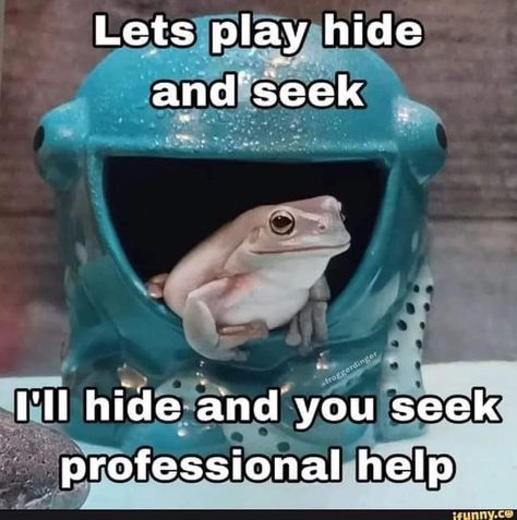 Frog Pictures, Funny Frogs, Funny Animal Jokes, A Frog, Funniest Memes, Very Funny Pictures, Cute Memes, Funny Reaction Pictures, Animal Jokes