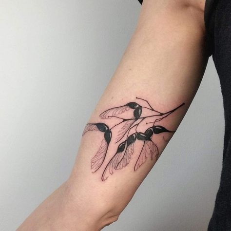 Maple Leaf Seed Tattoo, Maple Branch Tattoo, Maple Seed Drawing, Maple Tree Seed Tattoo, Sycamore Seed Tattoo, Sycamore Leaf Tattoo, Sycamore Tattoo, Helicopter Seed Tattoo, Nasturtium Tattoo