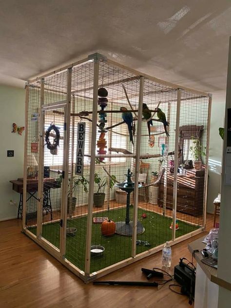 Diy Bird Enclosure, Parrot Room Ideas, Indoor Aviary Ideas, Indoor Bird Aviary, Parrot Enclosure, Indoor Bird Room Ideas, Diy Aviary, Parrot Room, Parrot Habitat