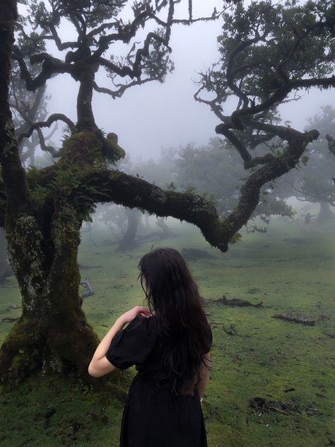 @ sanaxv on instagram #forest#madeira#fairytale#black#dress#nature#green#fog#fantasy#outfit#travel New Years Fashion, The Black Forest, Outfit Travel, Nature Green, Fantasy Clothing, Black Forest, Black Outfit, Travel Outfit, My Vibe