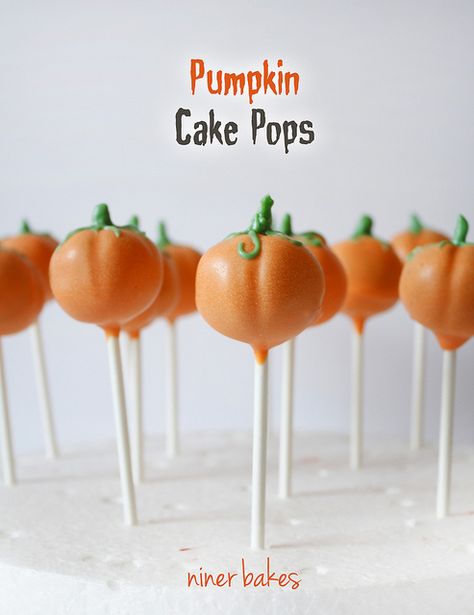 Halloween Pumpkin & Mummy Cake Pops by niner bakes, via Flickr Pumpkin Patch Birthday Party, Halloween Pumpkin Cake, Pumpkin Cake Pops, Pumpkin Patch Birthday, Postres Halloween, Halloween Cake Pops, Salty Cake, Cookie Pops, Sweet Pumpkin