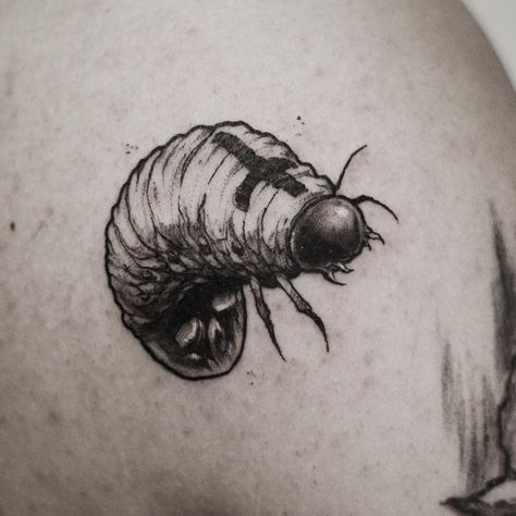 Maggot Drawing, Maggot Tattoo, Unholy Tattoo, Flies Tattoo, Fly Tattoo, Optical Illusion Tattoos, Illusion Tattoos, Optical Illusion Tattoo, Flying Tattoo