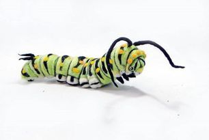 Amazing Swallowtail Caterpillar Felted Sculpture by SummerFrostStudioes Needle Felted Caterpillar, Bug Plushies, Felted Caterpillar, Felt Caterpillar, Felt Insects, Diy Butterflies, Swallowtail Caterpillar, Felted Sculpture, Fuzzy Felt