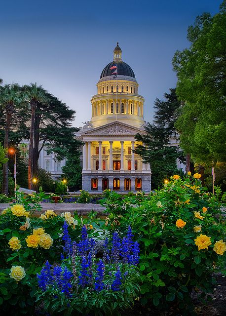 Early morning at the majestic state capitol building in Sacramento, California California State Capitol, Capital Cities, Central Valley, Sacramento California, Capitol Building, California Dreamin', California Dreaming, California Homes, California Travel