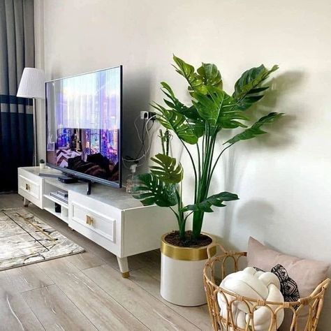 Heat absorbing plants at home 🪴🍃 #plants #homedesignsdworld #homedecor Plant Next To Tv, Living Room Corner Ideas Next To Tv, Plants Around Tv, Kids Game Room Ideas, Room Ideas Kids, Interior Design Ideas Bathroom, Study Room Ideas, Kids Game Room, Room Ideas Interior Design