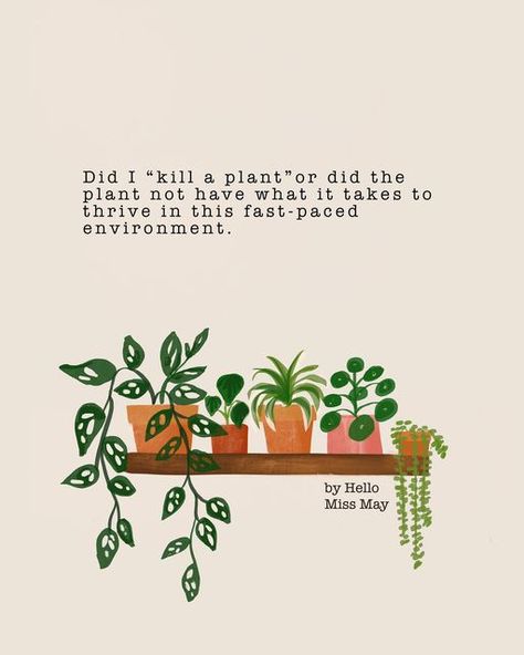 By Hello Miss May on Instagram: "���😬😅😂😭 Did I just kill a plant or did the plant not have what it takes to thrive in this fast-paced environment - Sarah Lazarus Haha! Love this quote. Happy week all xx #plantparent" Plant Mom Quotes, Plant Jokes, Plant Quotes, Metal Health, Plants Quotes, Happy Week, Quote Happy, Mom Era, Sign Ideas