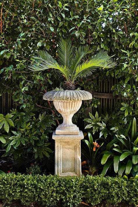 Garden Plinth Ideas, Large Flower Pots Outdoor, Diy Large Planters, Outdoor Ideas Garden, Outdoor Urns, Planters Ideas, Sago Palm, Garden Paving, Garden Vases