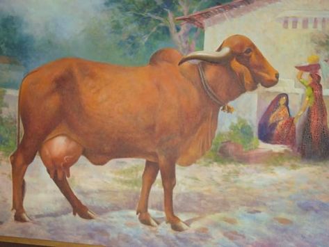 Dwarikadhish Hd Wallpaper, Gir Cow, Cow Logo, Cow Pictures, Cow Painting, Down On The Farm, Krishna Painting, Children Book, Photo Art Gallery