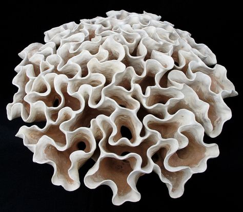 Tall Coral Bouquet (top) Biomorphic Art Sculpture, Coral Building, Coral Reef Sculpture, White Coral Reef, Clay Coral, Coral Texture, Coral Clay, Coral Bouquet, Brain Coral