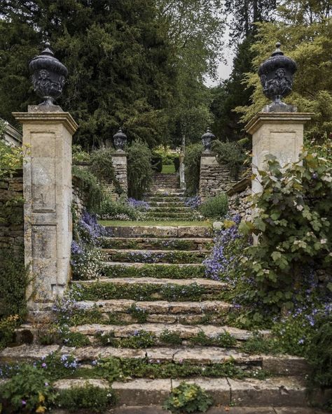 Manor Garden, Salisbury Cathedral, Perfect Road Trip, Country House Hotels, Road Trip Planning, A Hill, Road Trip Itinerary, Wisteria, Travel Itinerary