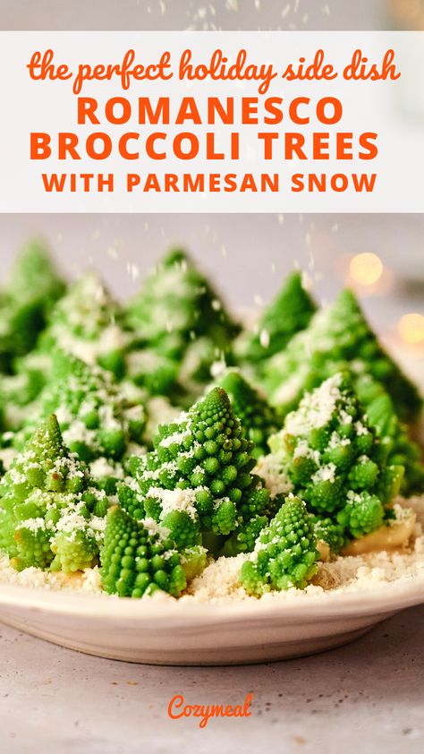 Transport a festive forest to the table with Romanesco broccoli trees dusted with Parmesan snow. Nestled in a layer of savory white cheese sauce, this Romanesco broccoli recipe is beautiful and delicious. Broccoli Romanesco Recipes, Romanesco Broccoli Recipe, Romanesco Recipes, White Cheese Sauce, Romanesco Broccoli, Snow Recipe, Broccoli Dishes, Seasonal Cooking, Broccoli Recipe