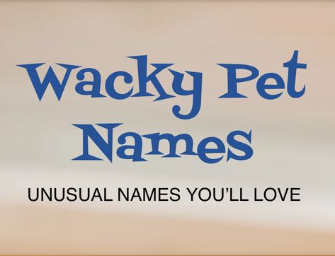 Unique Pet Names, Funny Pet Names, Pet Names For Dogs, Cool Pet Names, Funny Animal Names, Doodle Name, Bizarre Animals, Weird Names, Unusual Names