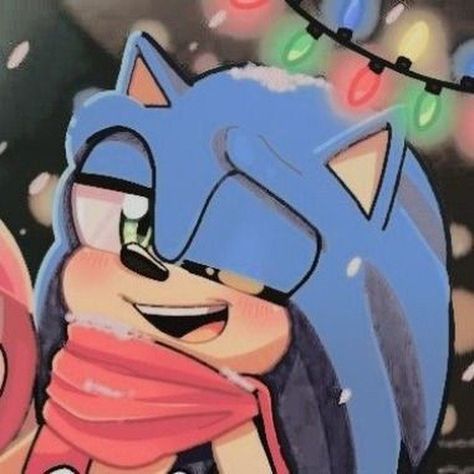 Christmas Sonic Pfp, Sonic Christmas Pfp, Cute Christmas Matching Pfp, Sonamy Fanart, Sonic Christmas, Xmas Icons, Sonic Aesthetic, Hedgehog Christmas, Sonic And Amy