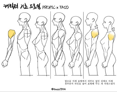 Looking Up Drawing, Side Pfp, Side View Drawing, Profile Drawing, Human Anatomy Drawing, Body Reference Drawing, 캐릭터 드로잉, Anatomy Drawing, Anatomy Reference