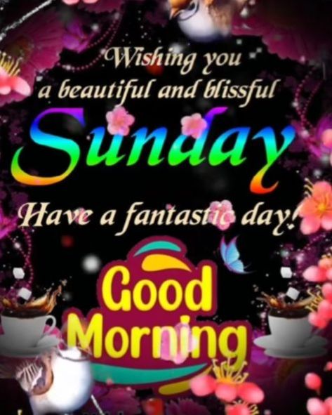 #castlestudioswisconsin #dreamsersgiftsandtreasureswi #morningcoffee #sundayvibes Sunday are for coffee Sunday Morning Quotes Funny Hilarious, Sunday Funny Quotes, Sunday Morning Quotes Aesthetic, Sunday Morning Quotes Funny, Easy Like Sunday Morning Quotes, Sunday Memes Hilarious, Sunday Meme, Sunday Morning Memes, Sunday Morning Quotes