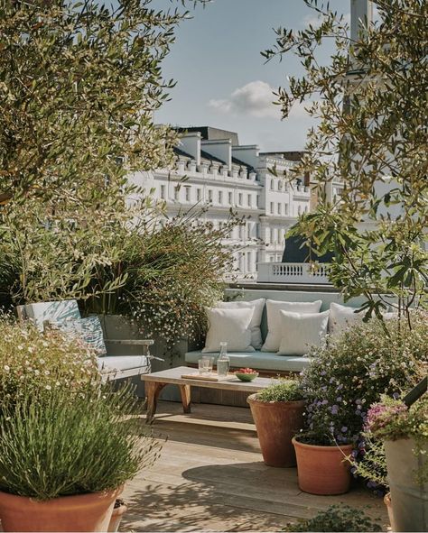 Townhouse Garden, Garden Magazine, London Interior Design, London Interior, Kensington Gardens, 1950s Design, London Flat, Home Garden Design, Outside Living