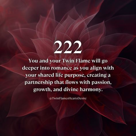 As you commit deeper to your Life Purpose, the romance in your Union will naturally grow and evolve. 🌹 Are you ready to heal Twin Flame separation forever? Comment "READY" and I'll send you a DM with a link to book an introductory session with me. 💫 #twinflame #love #lovequotes #truelove #truth #twinflames #soulmate Twin Flame Energy, Twin Flame Separation, Relationship Poetry, Flame Quotes, Twin Flame Love Quotes, Twin Flame Union, Twin Flame Quotes, Archangel Prayers, My Twin Flame