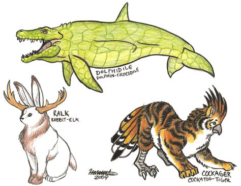 Animal Hybrids by Orcacat88 @ DeviantArt (Dolphidile, Dolphin + Crocodile; Ralk, Rabbit + Elk; Cockager, Cockatoo + Tiger) Animal Hybrids, Hybrid Animals, Animal Quiz, Easy Animal Drawings, Animal Art Projects, Hybrid Art, Hybrid Dogs, Drawing Activities, Fantasy Creatures Art