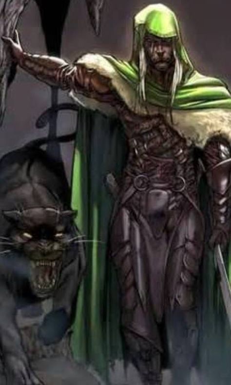 Drizzt n Guenhwyvar Legend Of Drizzt, Drizzt Do Urden, Arte Nerd, Forgotten Realms, Dark Elf, Animal Companions, Fantasy Rpg, Medieval Fantasy, Sci Fi Fantasy