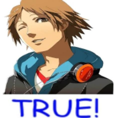 yosuke hanamura persona 4 reactions true Yosuke Hanamura Icons, Persona 4 Yosuke, Relatable Images, Yosuke Hanamura, Atlus Games, Zack Fair, Bull Terrier Puppy, Honest Reaction, Shin Megami Tensei Persona