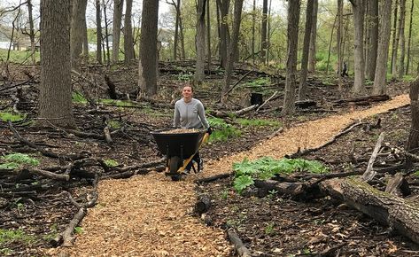 Diy Walking Path, Shade Garden Plants, Farm Plans, Nature Trails, Forest Trail, Park Trails, Walking Paths, Outdoor Classroom, Wildlife Gardening