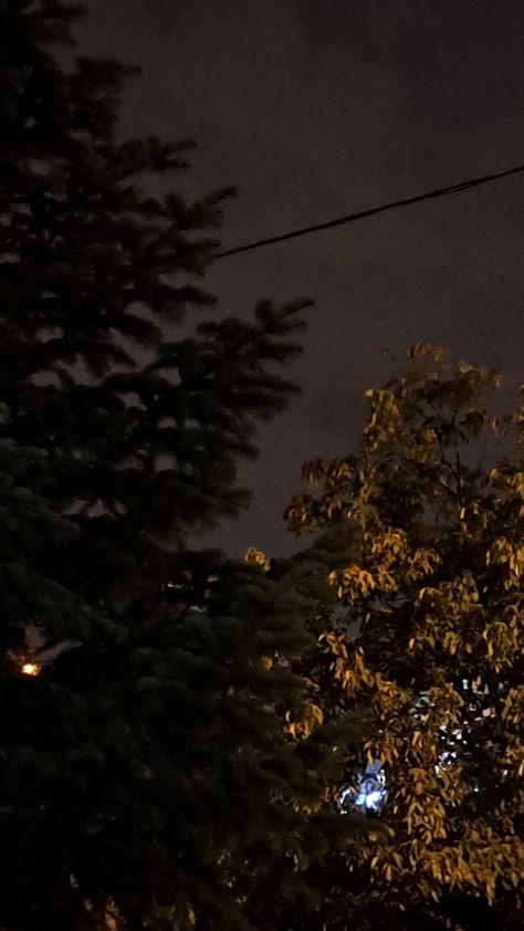 dark weather, night, trees Night Tree Snap, Dark Trees Aesthetic, Storyboard Aesthetic, Photo Album App, Night Weather, Night Trees, Dark Weather, Dark Wallpapers Aesthetic, Dark Wallpapers