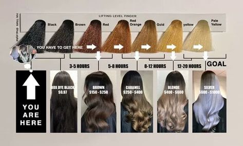 Black to platinum chart Black To Blonde, Black To Blonde Hair, Color Correction Hair, Box Dye, Going Blonde, Balayage Technique, Hair Color Formulas, Hair Color Chart, Haircut Types