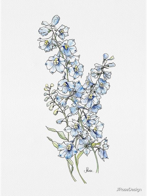 "Blue Delphinium Flowers" Poster by JRoseDesign | Redbubble Delphinium Bouquet Tattoo, Delphium Flower Tattoo, Delphinium Tattoo Simple, Delphinium Tattoo Design, Blue Delphinium Tattoo, Delphinium Flower Drawing, Delphinium Flower Tattoo, Delphinium Painting, Larkspur Painting