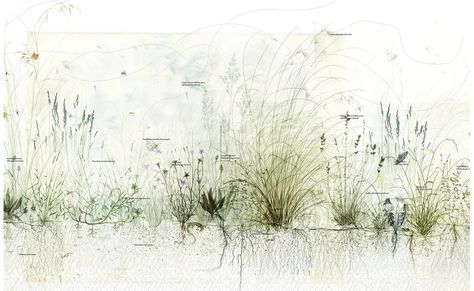 2022 Landscape Architecture Australia Student Prize (Joint National Winner): University of Technology Sydney | Landscape Australia Sydney Landscape, Landscape Architecture Section, Landscape Australia, Sydney Park, Landscape Diagram, Environmental Architecture, Landscape Architecture Graphics, Student Prizes, Section Drawing