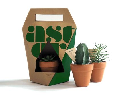 A solution to the problem of transporting delicate or prickly plants. Constructed out of a single piece of biodegradable card stock, the packaging lays flat before being folded. A small insert provides a snug holder for the plant, while a window allows for access to sunlight. Plant Packing Ideas, Plants Packaging, Packaging Plants Ideas, Succulent Packaging Ideas, Plant Seed Packaging, Kaktus Dan Sukulen, Japanese Wrapping, Japanese Wrapping Cloth, Plant Box