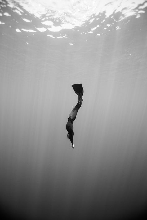 Freediving Photography — One ocean One breath Freediving Photography, Diver Art, Navy Diver, Underwater Diving, Salt Water Fishing, Cave Diving, Fishing Photography, Free Diving, Underwater Photography