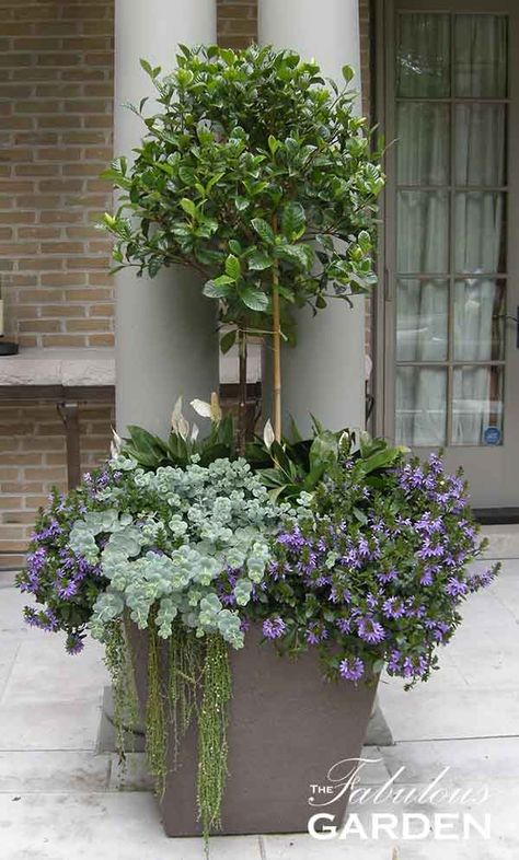 The Container Garden Guide - The Fabulous Garden Porch Topiary, Front Porch Flowers, Front Porch Planters, Porch Plants, Porch Flowers, Container Garden Design, Porch Planters, Upstairs Hallway, Container Gardening Flowers