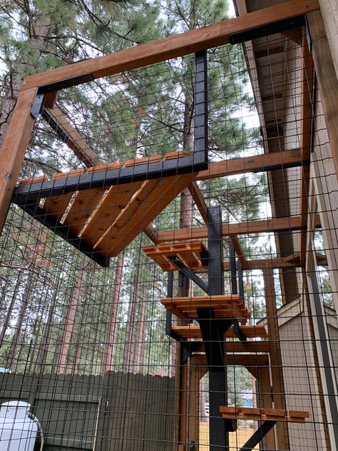 Catio Cats Interior, Catio Plans Under Deck, Outside Cat Enclosure, Cat Room Diy, Diy Cat Enclosure, Feral Cat House, Cat Castle, Kat Diy, Cat Patio