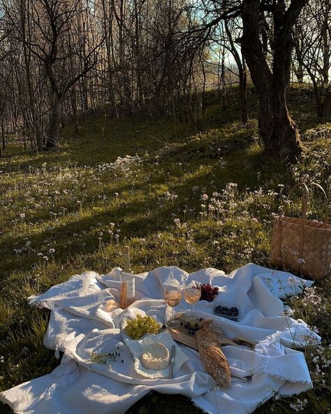 Picnic Inspiration, Theme Nature, Picnic Date, Cottage Core Aesthetic, After Life, Spring Aesthetic, A Picnic, Northern Italy, Jolie Photo