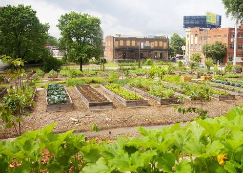 Don't have any weekend plans? Check out these awesome farmers markets across the state! Places In Georgia, Homeschool Field Trips, Sustainable Environment, Urban Farmer, Urban Agriculture, Fire Image, Unique Places, Farmers Markets, Local Farm