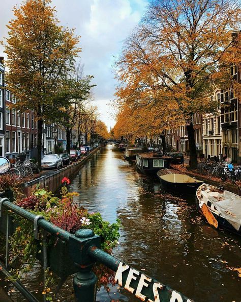 Autumn in Amsterdam Make It Count, Netherlands Travel, Amsterdam Travel, Dream City, Work Week, European Summer, Travel Goals, Wanderlust Travel, Pretty Places