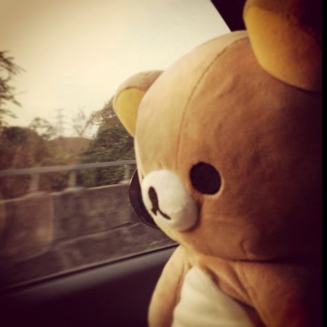 Rilakkuma, A Car, Teddy Bear