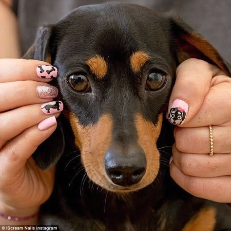 Nail art salon I Scream Nails paints miniature replicas of people's pets and partners on t... Dog Nail Art, Dachshund Videos, Animal Nail Designs, Paw Nails, Cracked Nails, Dachshund Illustration, Human Dog, Puppy Heaven, Dachshund Quotes