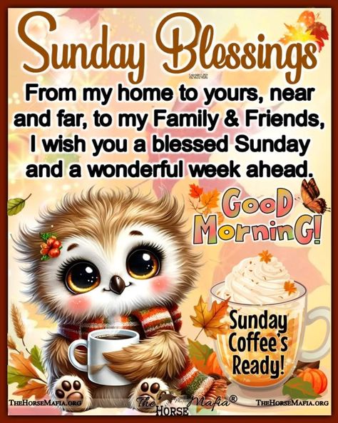 Fall Sunday Morning Quotes, Sunday Morning Quotes Inspirational, Sunday Morning Wishes, Morning Quotes Inspirational, Fall Sunday, Good Morning Happy Weekend, Good Morning Sunday Images, Morning Sayings, Programmer Jokes