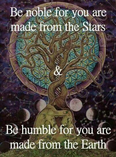 Be noble for you are made from the Stars & Be humble for you are made from the Earth Witch Learning, Earth Spirituality, Pagan Quotes, Wiccan Quotes, Village Witch, Being A Witch, Pagan Nature, Pagan Magick, Spiritual Vibes