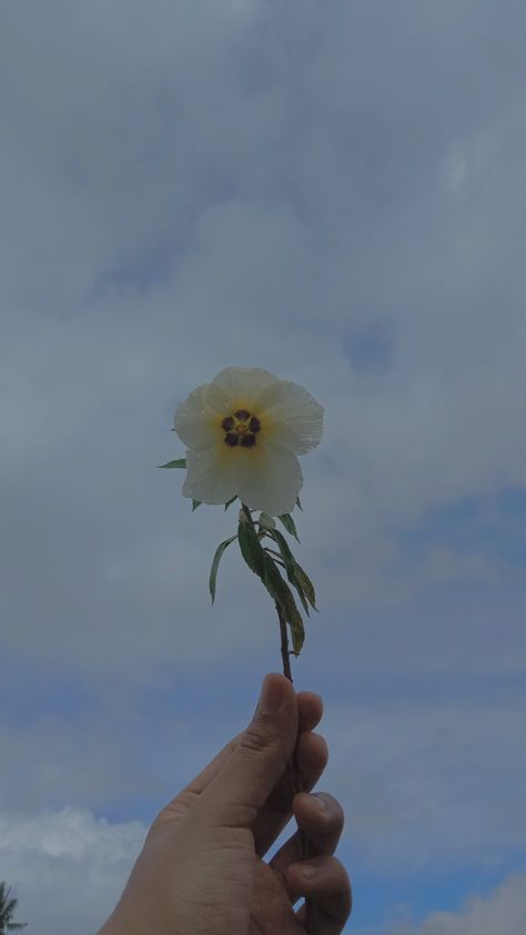 Bunga bisa layu .... Kamu jangan Dandelion, Plants, Flowers, Instagram, Nature