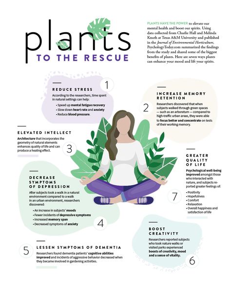 Plants to the rescue Homestead Knowledge, Eco Therapy, Therapy Garden, Horticultural Therapy, Horticulture Therapy, Behavior Contract, Nature Camp, Benefits Of Gardening, Garden Activities