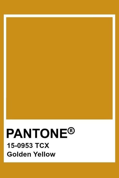 Pantone Shades Of Yellow, Deep Yellow Color, Pantone Yellow Shades, Golden Yellow Color Palette, Pantone Colors Yellow, Mustard Yellow Pantone, Golden Pantone, Golden Colour Palette, Golden Palette