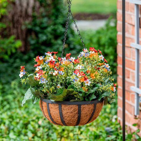 Black Wire Basket, Metal Hanging Planters, Outdoor Garden Planters, Hanging Flower Baskets, Plants For Hanging Baskets, Indoor Flowers, Plant Basket, Outdoor Flowers, Diy Hanging