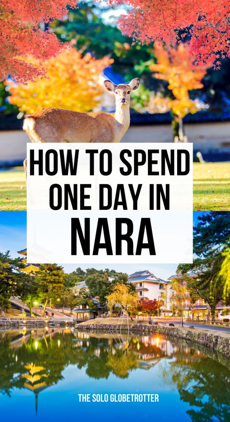 Things To Do In Nara Japan, Nara Day Trip, Nara Itinerary, Places To Visit In Japan, Japan Nara, Kyoto Travel Guide, Japan Travel Destinations, Japan Tourism, Japan Holidays