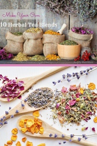 Tea Drinkers Love Fresh Tea Make Your Own: 10 Herbal Tea Blends You Can Grow in Your Garden | Ready Nutrition Herbal Tea Photography, Herbal Tea Recipes Homemade, Tea Blends Recipes, Herbal Tea Garden, Herbal Tea Benefits, Homemade Tea, Herbal Teas Recipes, Herbal Recipes, Tea Diy